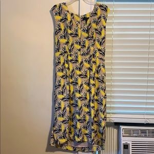 Brand new beautiful  J. Crew dress!!